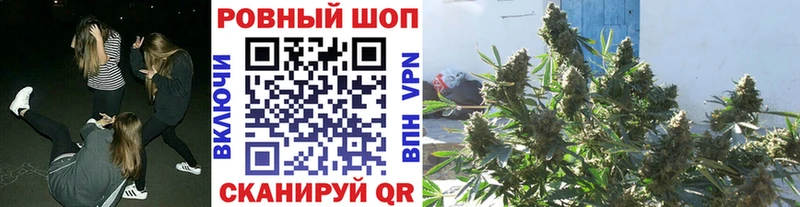 Какие есть наркотики Ногинск A PVP  Бошки Шишки  Амфетамин  Гашиш  Меф 