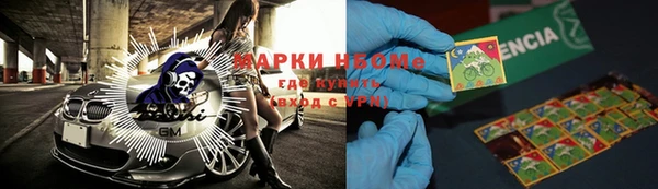 гашик Козельск