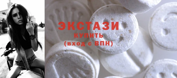 гашик Козельск