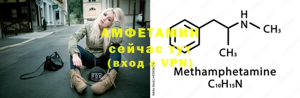 гашик Козельск