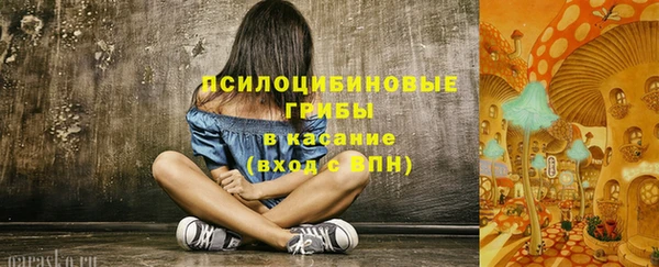 а пвп мука Козловка