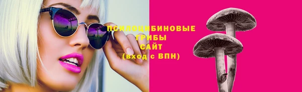 а пвп мука Козловка