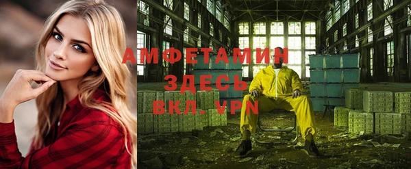 гашик Козельск