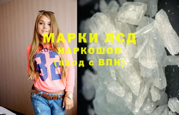 гашик Козельск