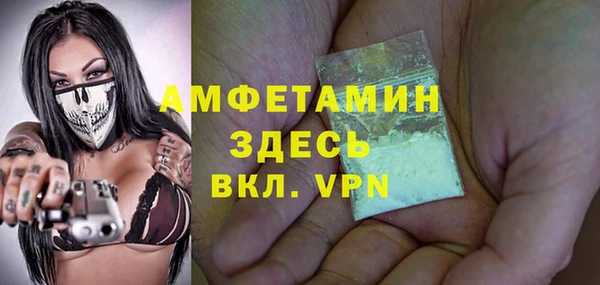 гашик Козельск